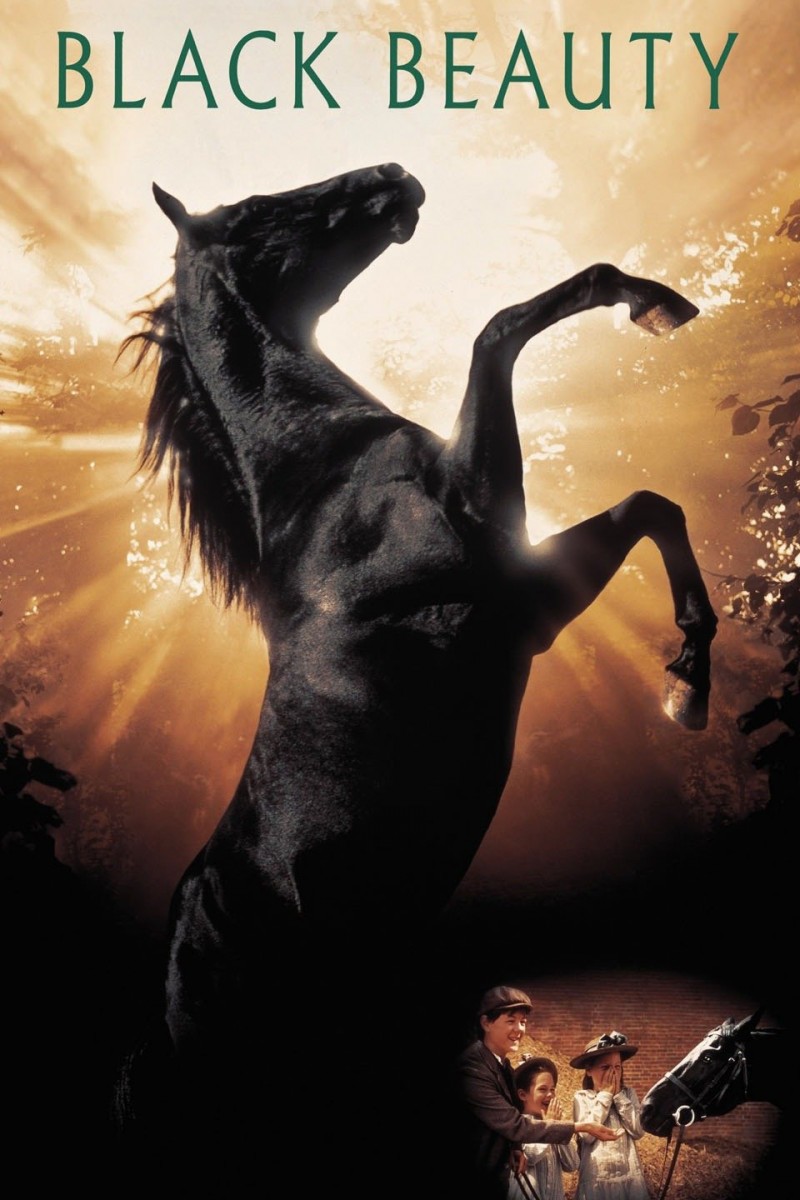 Ranking the 16 Best Horse Movies of All Time! [MUST WATCH]